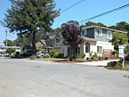 McCormick Woods