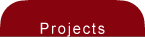 Project Gallery